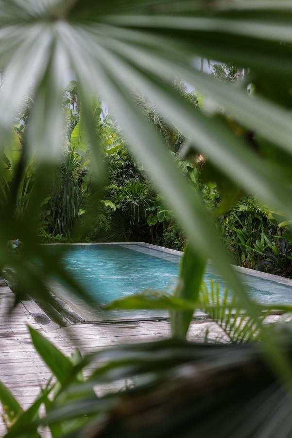 Surfing Temple Hotel Boutique General Luna  Εξωτερικό φωτογραφία